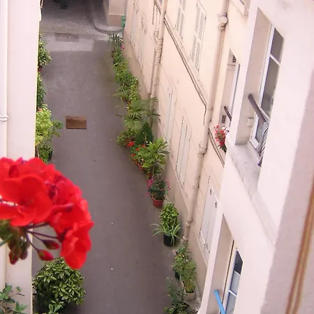 Calme Et Repos, Vue Sur Les Arbres Parigi
